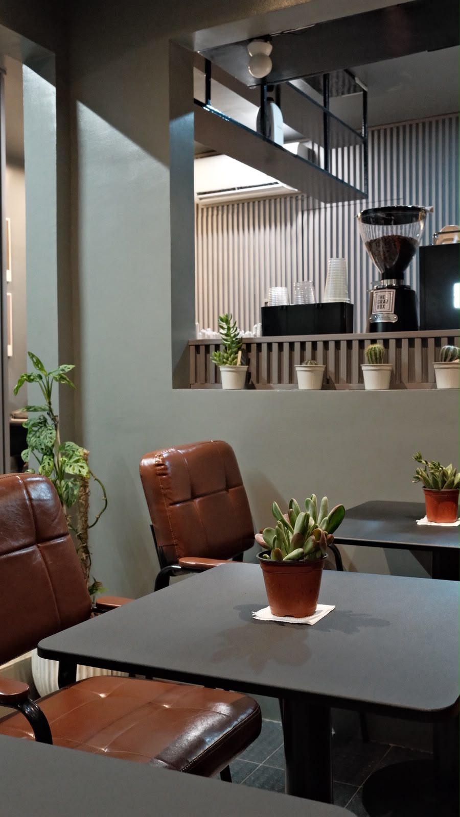 Café interior with leather chairs and potted succulents
